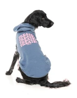 FuzzYard Dog Treats Hoodie - Blue (Size 1) (26-29cm) -Fuzzyard 9345719082611A 2