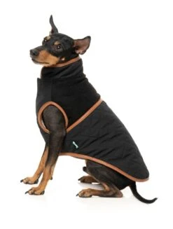 FuzzYard Dog Jacket - Ivanhoe - Black (Size 1) (26-29cm) -Fuzzyard 9345719083175A 2