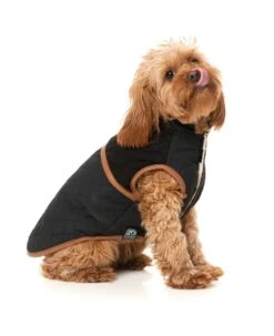 FuzzYard Dog Jacket - Ivanhoe - Black (Size 1) (26-29cm) -Fuzzyard 9345719083175A 4
