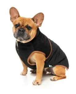 FuzzYard Dog Jacket - Ivanhoe - Black (Size 1) (26-29cm) -Fuzzyard 9345719083175A 5