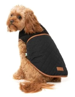 FuzzYard Dog Jacket - Ivanhoe - Black (Size 1) (26-29cm) -Fuzzyard 9345719083175A 7