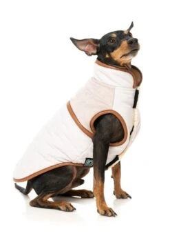 FuzzYard Dog Jacket - Ivanhoe - Ivory (Size 3) (35-38cm) 12 FuzzYard Dog Jacket - Ivanhoe - Ivory (Size 3) (35-38cm) -Fuzzyard 9345719083403A 2