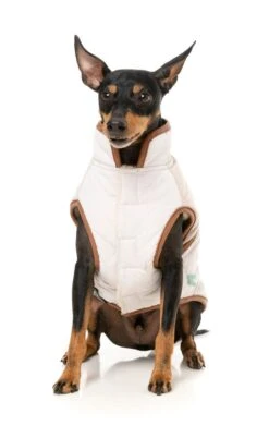 FuzzYard Dog Jacket - Ivanhoe - Ivory (Size 3) (35-38cm) 13 FuzzYard Dog Jacket - Ivanhoe - Ivory (Size 3) (35-38cm) -Fuzzyard 9345719083403A 3