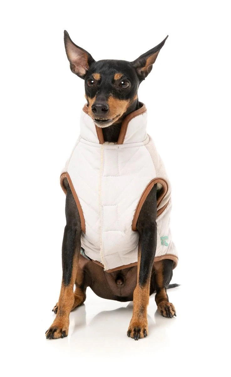 FuzzYard Dog Jacket - Ivanhoe - Ivory (Size 3) (35-38cm) 6 FuzzYard Dog Jacket - Ivanhoe - Ivory (Size 3) (35-38cm) - Image 4