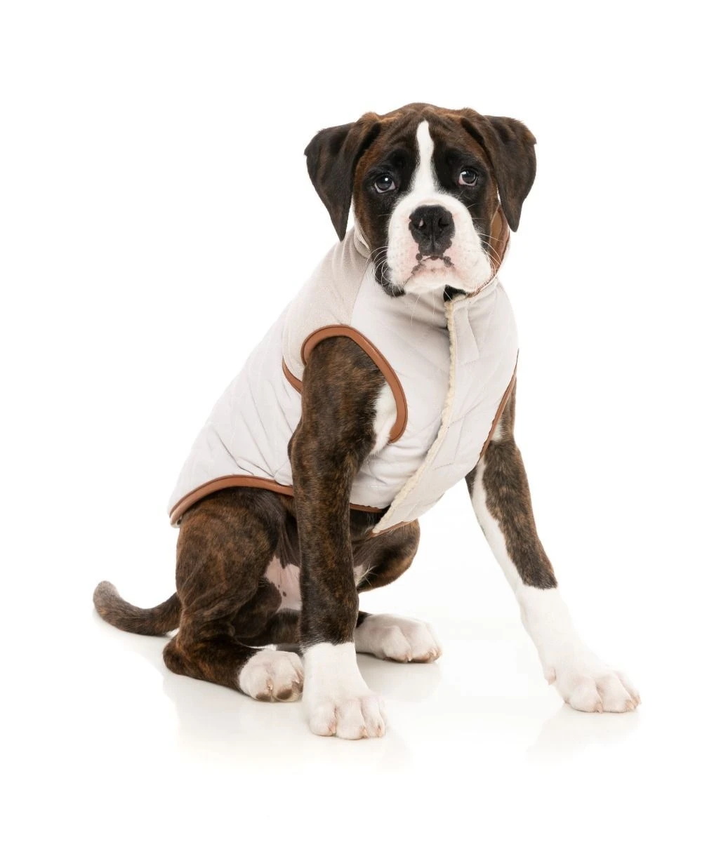 FuzzYard Dog Jacket - Ivanhoe - Ivory (Size 3) (35-38cm) 7 FuzzYard Dog Jacket - Ivanhoe - Ivory (Size 3) (35-38cm) - Image 5