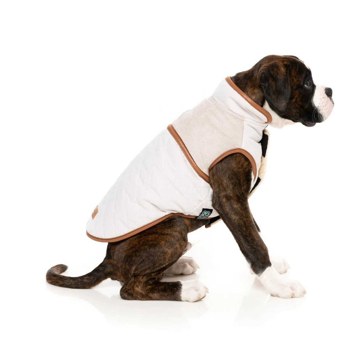 FuzzYard Dog Jacket - Ivanhoe - Ivory (Size 3) (35-38cm) 9 FuzzYard Dog Jacket - Ivanhoe - Ivory (Size 3) (35-38cm) - Image 7