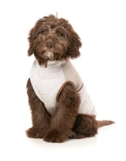 FuzzYard Dog Jacket - Ivanhoe - Ivory (Size 3) (35-38cm) 17 FuzzYard Dog Jacket - Ivanhoe - Ivory (Size 3) (35-38cm) -Fuzzyard 9345719083403A 7