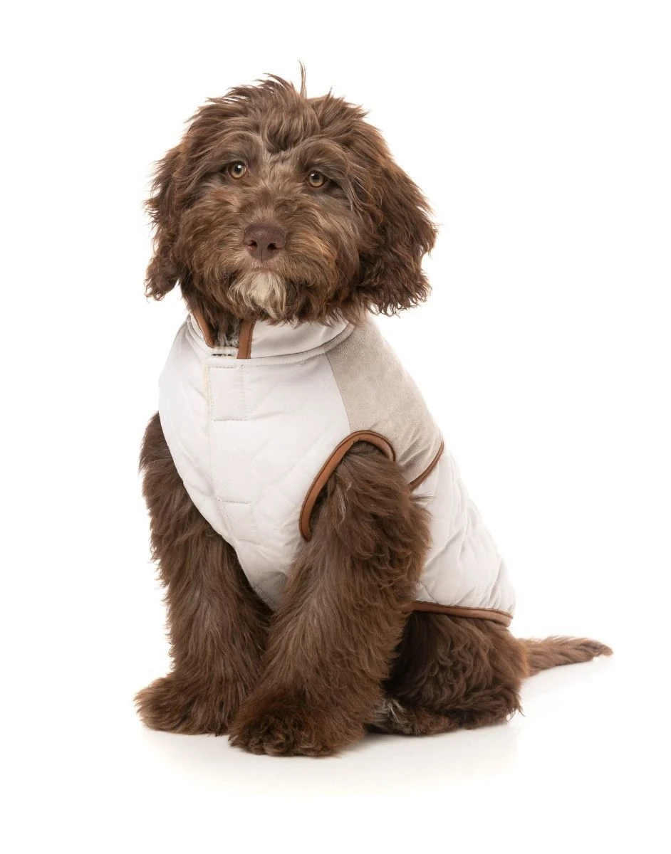 FuzzYard Dog Jacket - Ivanhoe - Ivory (Size 3) (35-38cm) 10 FuzzYard Dog Jacket - Ivanhoe - Ivory (Size 3) (35-38cm) - Image 8