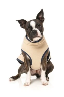 FuzzYard Dog Jacket - Fitzroy - Beige (Size 1) (26-29cm) 13 FuzzYard Dog Jacket - Fitzroy - Beige (Size 1) (26-29cm) -Fuzzyard 9345719083878A 5