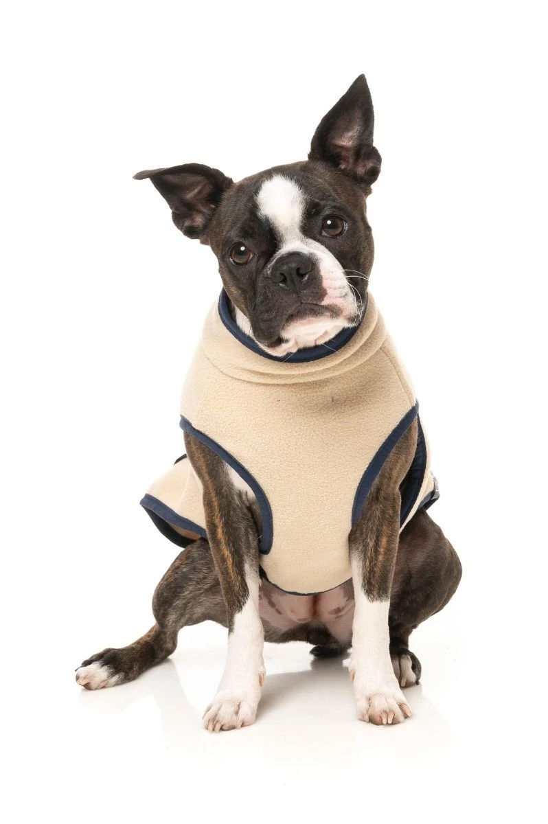 FuzzYard Dog Jacket - Fitzroy - Beige (Size 1) (26-29cm) 8 FuzzYard Dog Jacket - Fitzroy - Beige (Size 1) (26-29cm) - Image 6