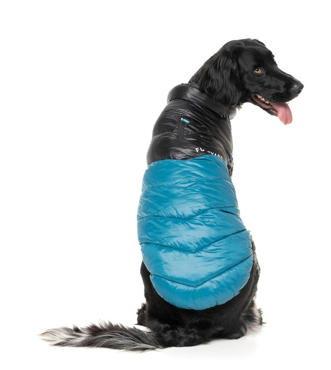 FuzzYard Dog Jacket - South Harlem - Marine (Size 1) (26-29cm) 6 FuzzYard Dog Jacket - South Harlem - Marine (Size 1) (26-29cm) - Image 4