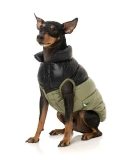 FuzzYard Dog Jacket - South Harlem - Olive (Size 1) (26-29cm) 10 FuzzYard Dog Jacket - South Harlem - Olive (Size 1) (26-29cm) -Fuzzyard 9345719084431A 2