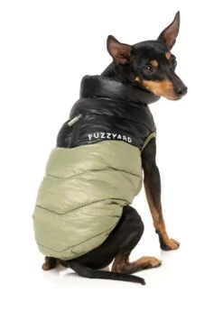 FuzzYard Dog Jacket - South Harlem - Olive (Size 1) (26-29cm) 11 FuzzYard Dog Jacket - South Harlem - Olive (Size 1) (26-29cm) -Fuzzyard 9345719084431A 3