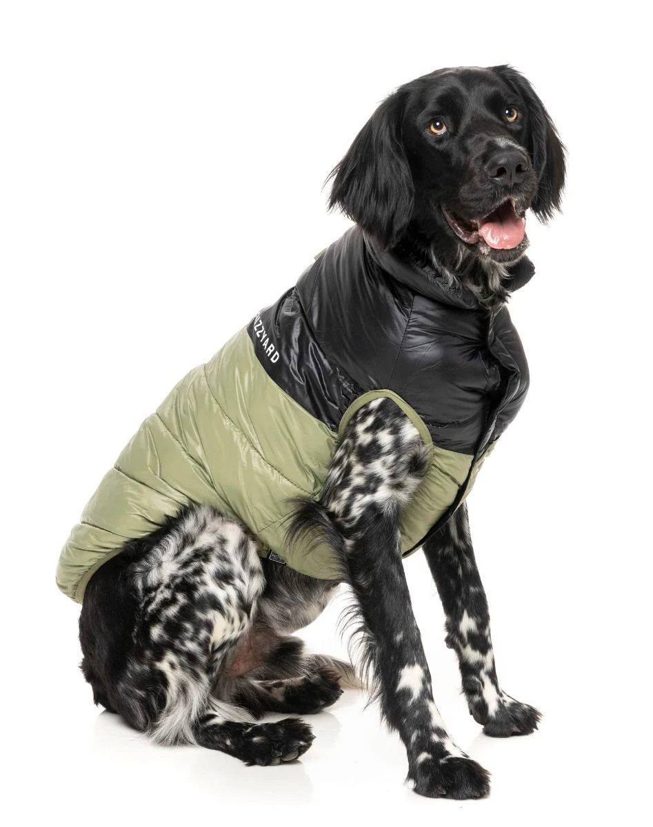 FuzzYard Dog Jacket - South Harlem - Olive (Size 1) (26-29cm) 7 FuzzYard Dog Jacket - South Harlem - Olive (Size 1) (26-29cm) - Image 5