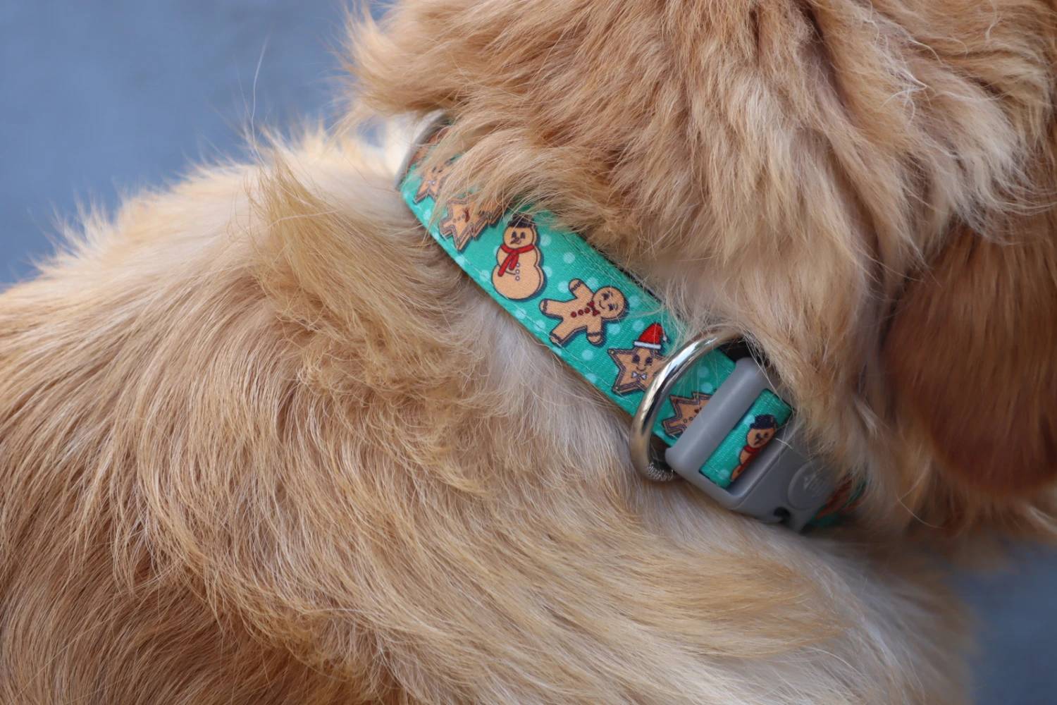 FuzzYard Cookies For Santa Christmas Dog Collar - Small (15mm X 25-38cm) 5 FuzzYard Cookies For Santa Christmas Dog Collar - Small (15mm X 25-38cm) - Image 3