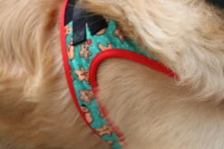 FuzzYard Cookies For Santa Christmas Step-In Harness - XX-Small (34-36cm Neck - 39-41cm Chest) -Fuzzyard FY CFSCSI HARNESS 1