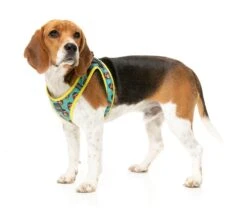 FuzzYard Step-In Dog Harness - Gor-illz - XX-Small (34-36 Neck - 39-41cm Chest) -Fuzzyard FY GORILLZ SIDH