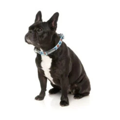 Fuzzyard -Fuzzyard FuzzYard Ahoy There Dog Collar Medium 2