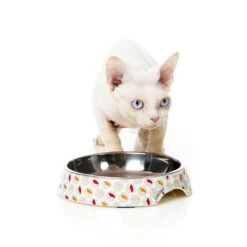 FuzzYard Cat Dish Sushi Delight -Fuzzyard FuzzYard Cat Dish Sushi Delight 3