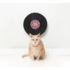 FuzzYard Cat Record Scratcher Caturday Night Fever -Fuzzyard FuzzYard Cat Record Scratcher Caturday Night Fever