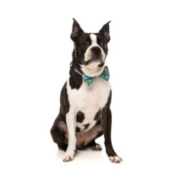 FuzzYard Christmas Disco Deer Bowtie Small* -Fuzzyard FuzzYard Christmas Disco Deer Bowtie Small 3