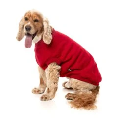 FuzzYard Dog Apparel Allday 25 Sweater Red Size 1 ^+^ -Fuzzyard FuzzYard Dog Apparel Allday 25 Sweater Red Size 1 4