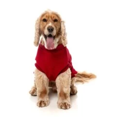 FuzzYard Dog Apparel Allday 25 Sweater Red Size 2 ^+^ 14 FuzzYard Dog Apparel Allday 25 Sweater Red Size 2 ^+^ -Fuzzyard FuzzYard Dog Apparel Allday 25 Sweater Red Size 2 5