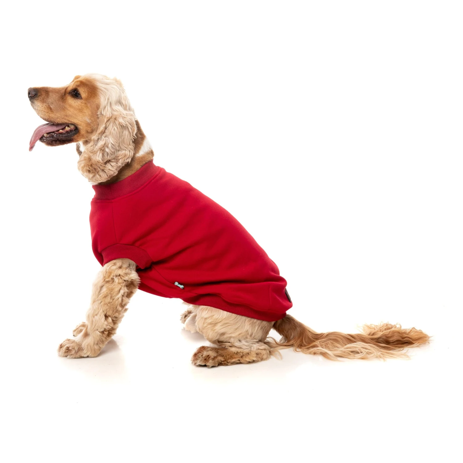 FuzzYard Dog Apparel Allday 25 Sweater Red Size 5 ^+^ 8 FuzzYard Dog Apparel Allday 25 Sweater Red Size 5 ^+^ - Image 6