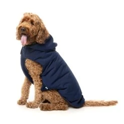 FuzzYard Dog Apparel Essential Padded Hooded Jacket Navy Size 3 ^+^ -Fuzzyard FuzzYard Dog Apparel Essential Padded Hooded Jacket Navy Size 3 3
