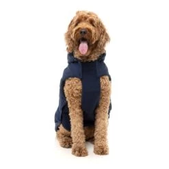 FuzzYard Dog Apparel Essential Padded Hooded Jacket Navy Size 7 ^+^ -Fuzzyard FuzzYard Dog Apparel Essential Padded Hooded Jacket Navy Size 7 3