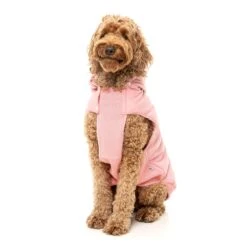FuzzYard Dog Apparel Essential Padded Hooded Jacket Pink Size 4 ^+^ -Fuzzyard FuzzYard Dog Apparel Essential Padded Hooded Jacket Pink Size 4 3