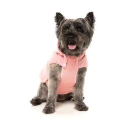 FuzzYard Dog Apparel Essential Padded Hooded Jacket Pink Size 6 ^+^ -Fuzzyard FuzzYard Dog Apparel Essential Padded Hooded Jacket Pink Size 6 4