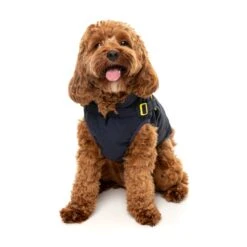 FuzzYard Dog Apparel Harness Jacket Horizon Navy Size 2 ^+^ -Fuzzyard FuzzYard Dog Apparel Harness Jacket Horizon Navy Size 2 4