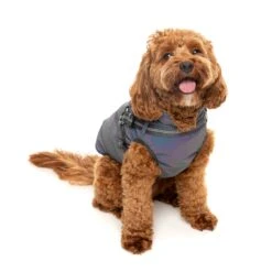 FuzzYard Dog Apparel Harness Jacket Reflective Flash Size 4 ^+^ -Fuzzyard FuzzYard Dog Apparel Harness Jacket Reflective Flash Size 4 6