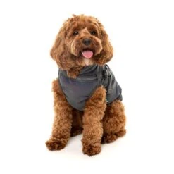 FuzzYard Dog Apparel Harness Jacket Reflective Flash Size 5 ^+^ -Fuzzyard FuzzYard Dog Apparel Harness Jacket Reflective Flash Size 5 4