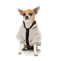 FuzzYard Dog Apparel Jacket Basecamp Stone Size 6 ^+^ -Fuzzyard FuzzYard Dog Apparel Jacket Basecamp Stone Size 6 5