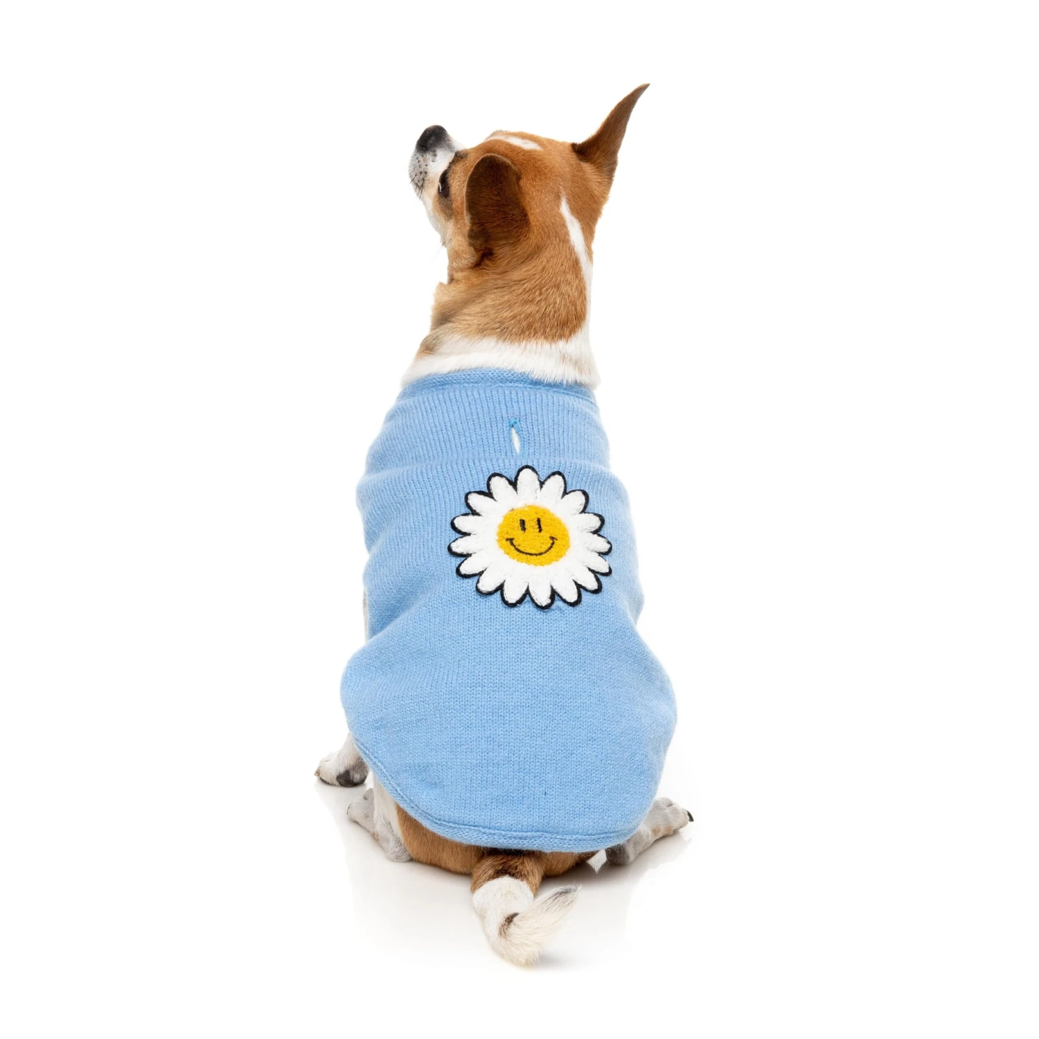 FuzzYard Dog Apparel Jacket Fleur Blue Size 3 ^+^ 6 FuzzYard Dog Apparel Jacket Fleur Blue Size 3 ^+^ - Image 4