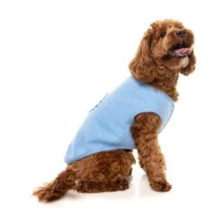 FuzzYard Dog Apparel Jacket Fleur Blue Size 3 ^+^ 13 FuzzYard Dog Apparel Jacket Fleur Blue Size 3 ^+^ -Fuzzyard FuzzYard Dog Apparel Jacket Fleur Blue Size 3 5