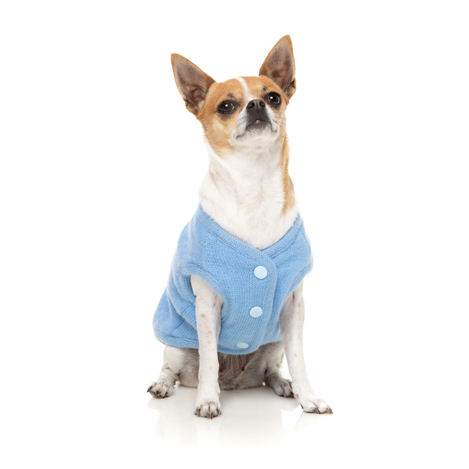 FuzzYard Dog Apparel Jacket Fleur Blue Size 3 ^+^ 3 FuzzYard Dog Apparel Jacket Fleur Blue Size 3 ^+^