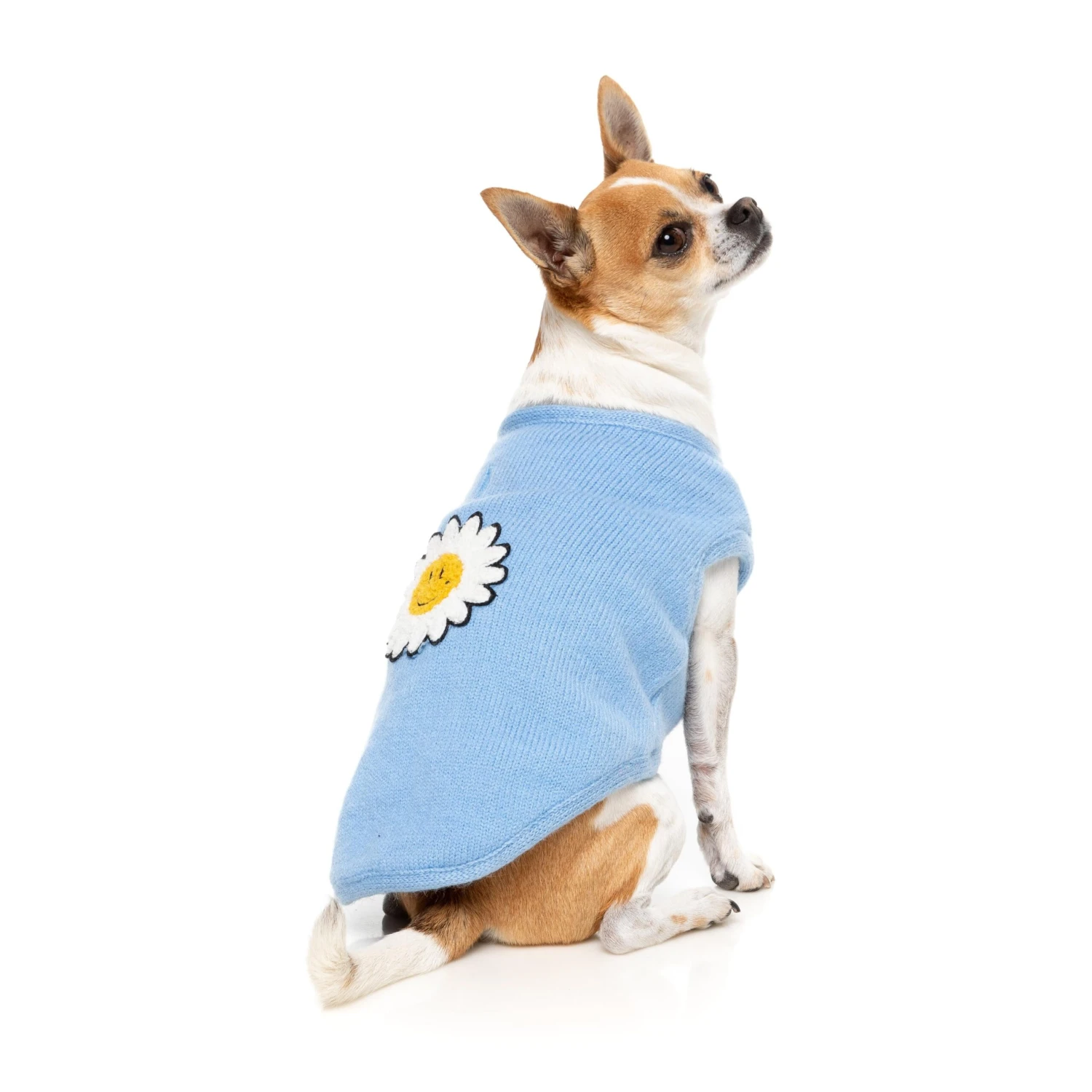 FuzzYard Dog Apparel Jacket Fleur Blue Size 4 ^+^ 5 FuzzYard Dog Apparel Jacket Fleur Blue Size 4 ^+^ - Image 3