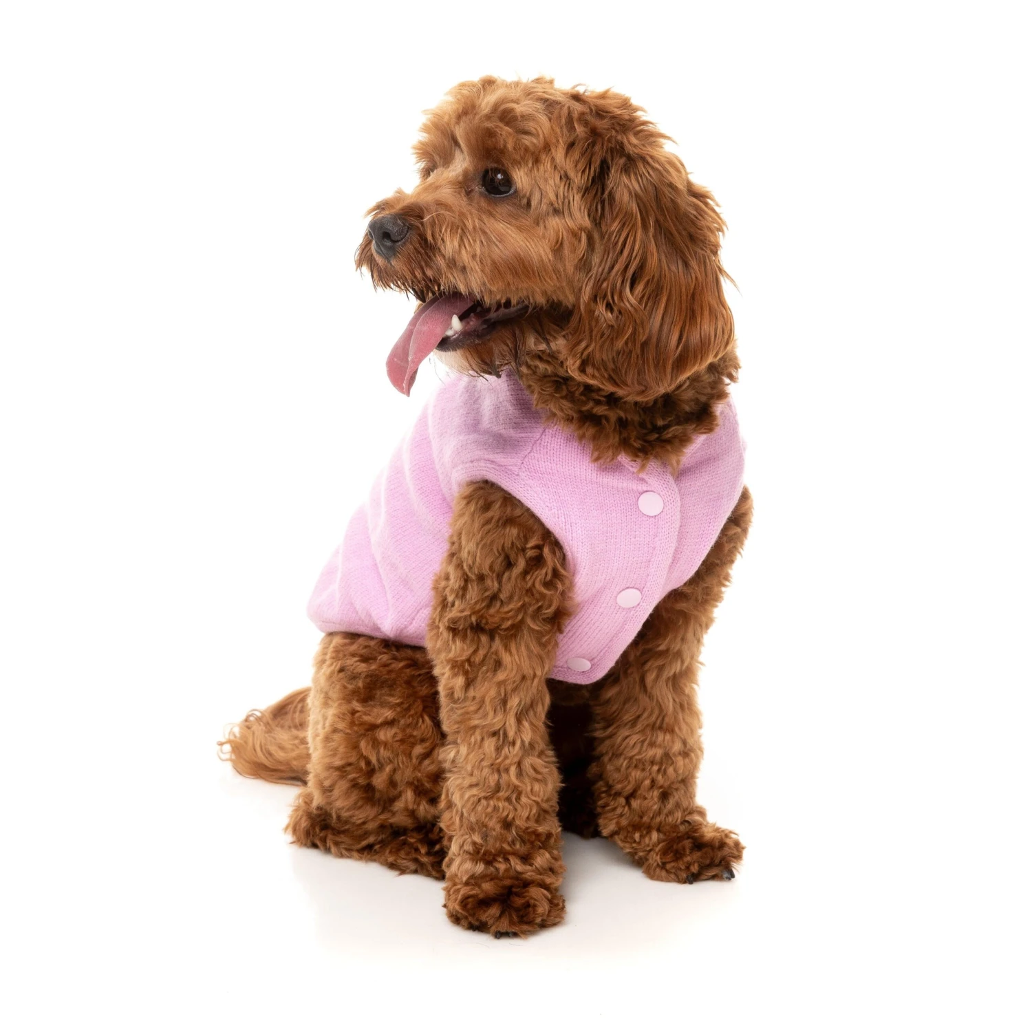 FuzzYard Dog Apparel Jacket Fleur Pink Size 4 ^+^ 5 FuzzYard Dog Apparel Jacket Fleur Pink Size 4 ^+^ - Image 3