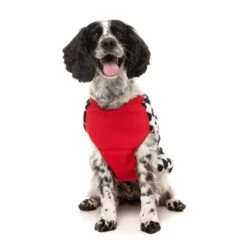 FuzzYard Dog Apparel Jacket Ollie Red Size 3 ^+^ -Fuzzyard FuzzYard Dog Apparel Jacket Ollie Red Size 3 4