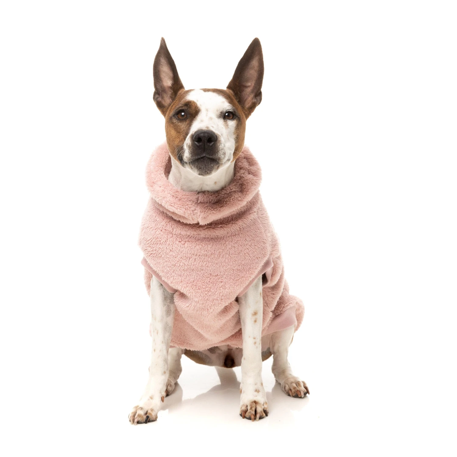 FuzzYard Dog Apparel Turtle Teddy 25 Sweater Blossom Pink Size 3 ^+^ 6 FuzzYard Dog Apparel Turtle Teddy 25 Sweater Blossom Pink Size 3 ^+^ - Image 4