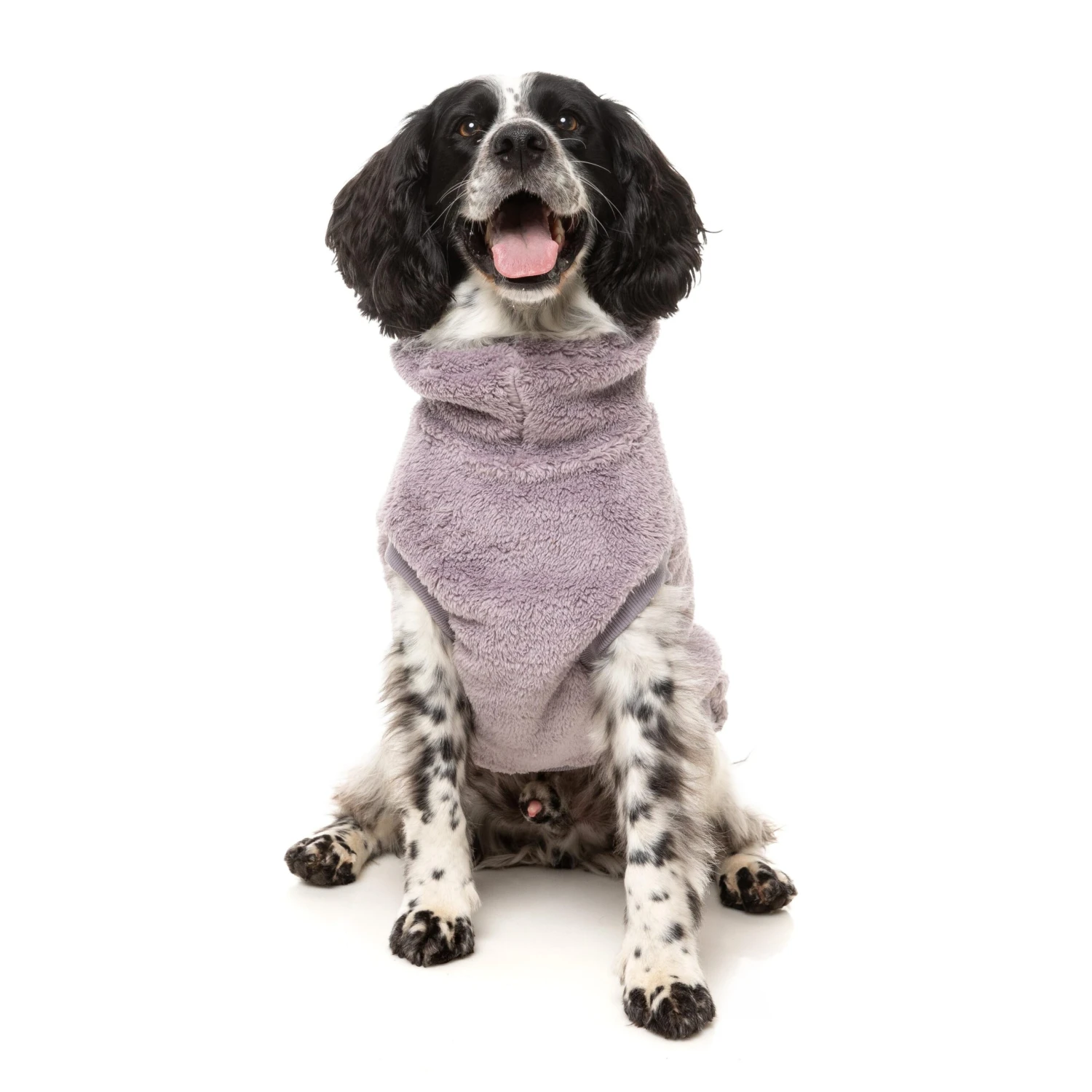 FuzzYard Dog Apparel Turtle Teddy 25 Sweater Lavender Size 3 ^+^ 6 FuzzYard Dog Apparel Turtle Teddy 25 Sweater Lavender Size 3 ^+^ - Image 4