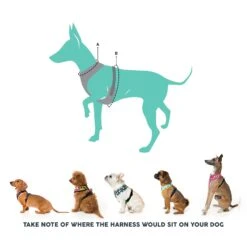 FuzzYard Dog Harness Rebel Extra Small -Fuzzyard FuzzYard Dog Harness Rebel Extra Small 3