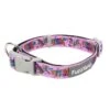 FuzzYard Fiesta Dog Collar Small -Fuzzyard FuzzYard Fiesta Dog Collar Small
