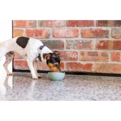 FuzzYard Life Silicone Dog Bowl Myrtle Green Large -Fuzzyard FuzzYard Life Silicone Dog Bowl Myrtle Green Large 4