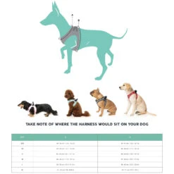 FuzzYard Life Step In Dog Harness Myrtle Green Extra Large 9 FuzzYard Life Step In Dog Harness Myrtle Green Extra Large -Fuzzyard FuzzYard Life Step In Dog Harness Myrtle Green Extra Large 4