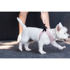 FuzzYard Life Step In Dog Harness Soft Blush Medium 10 FuzzYard Life Step In Dog Harness Soft Blush Medium -Fuzzyard FuzzYard Life Step In Dog Harness Soft Blush Medium 4
