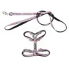 FuzzYard Meowcarons Cat Harness And Lead Walking Set -Fuzzyard FuzzYard Meowcarons Cat Harness and Lead Walking Set